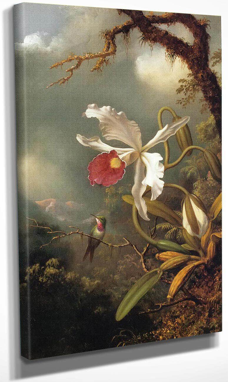 An Amethyst Hummingbird By Martin Johnson Heade Fine Art Print