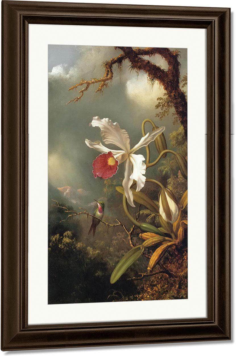 An Amethyst Hummingbird By Martin Johnson Heade Fine Art Print