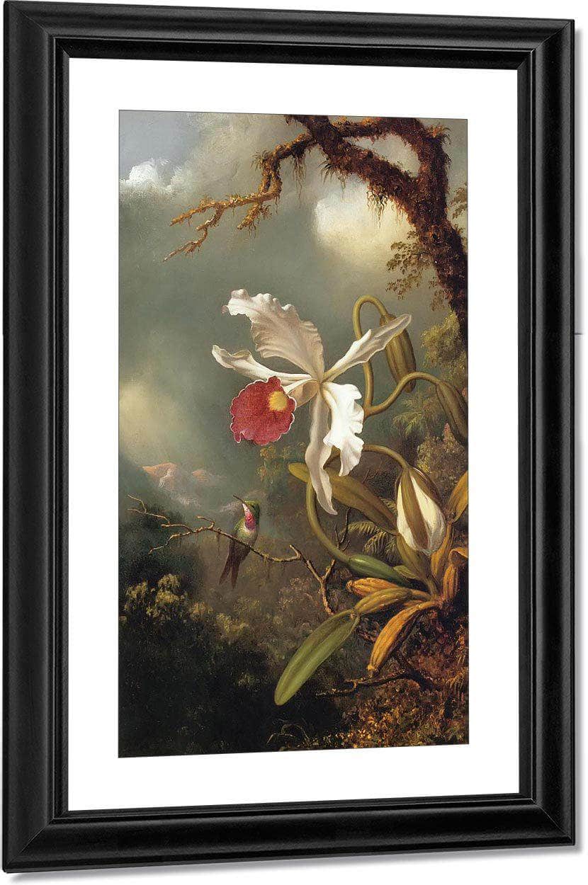 An Amethyst Hummingbird By Martin Johnson Heade Fine Art Print