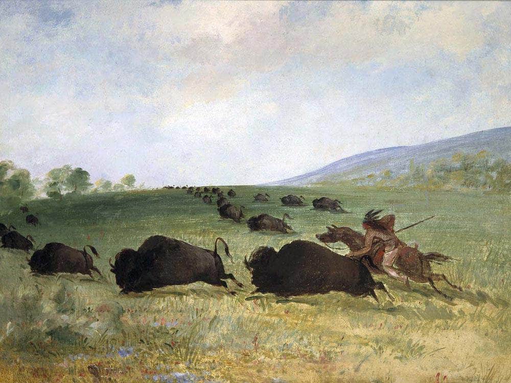 An Osage Indian Lancing A Buffalo By George Catlin Fine Art Print