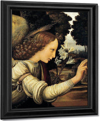 Angel By Leonardo Da Vinci Fine Art Print
