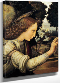 Angel By Leonardo Da Vinci Fine Art Print