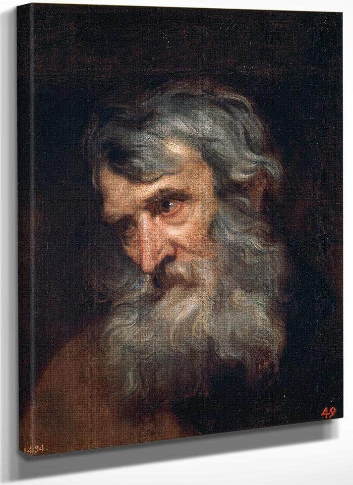 Anthony Van Dyck The Head Of An Old Man 1620 By Anthony Van Dyck Fine Art Print