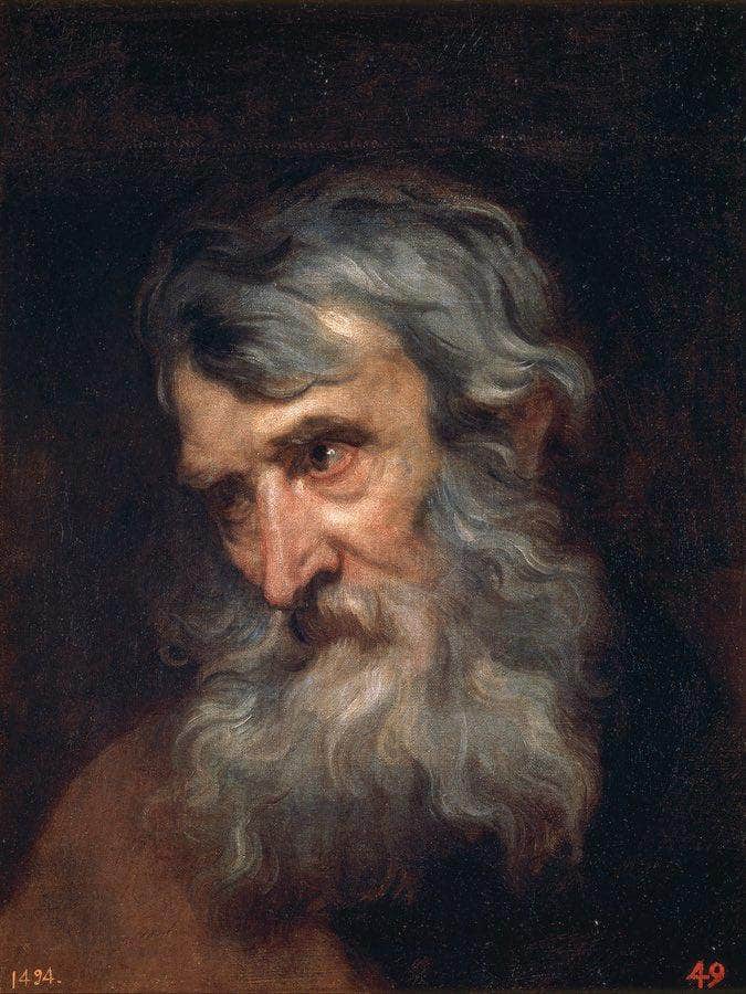 Anthony Van Dyck The Head Of An Old Man 1620 By Anthony Van Dyck Fine Art Print
