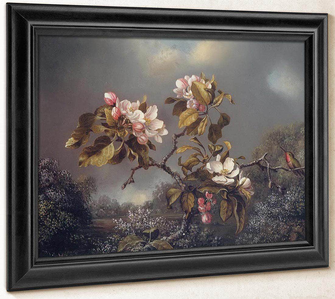 Apple Blossoms And Hummingbird By Martin Johnson Heade Fine Art Print