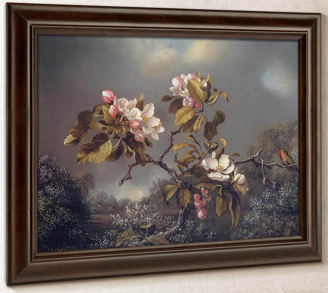 Apple Blossoms And Hummingbird By Martin Johnson Heade Fine Art Print