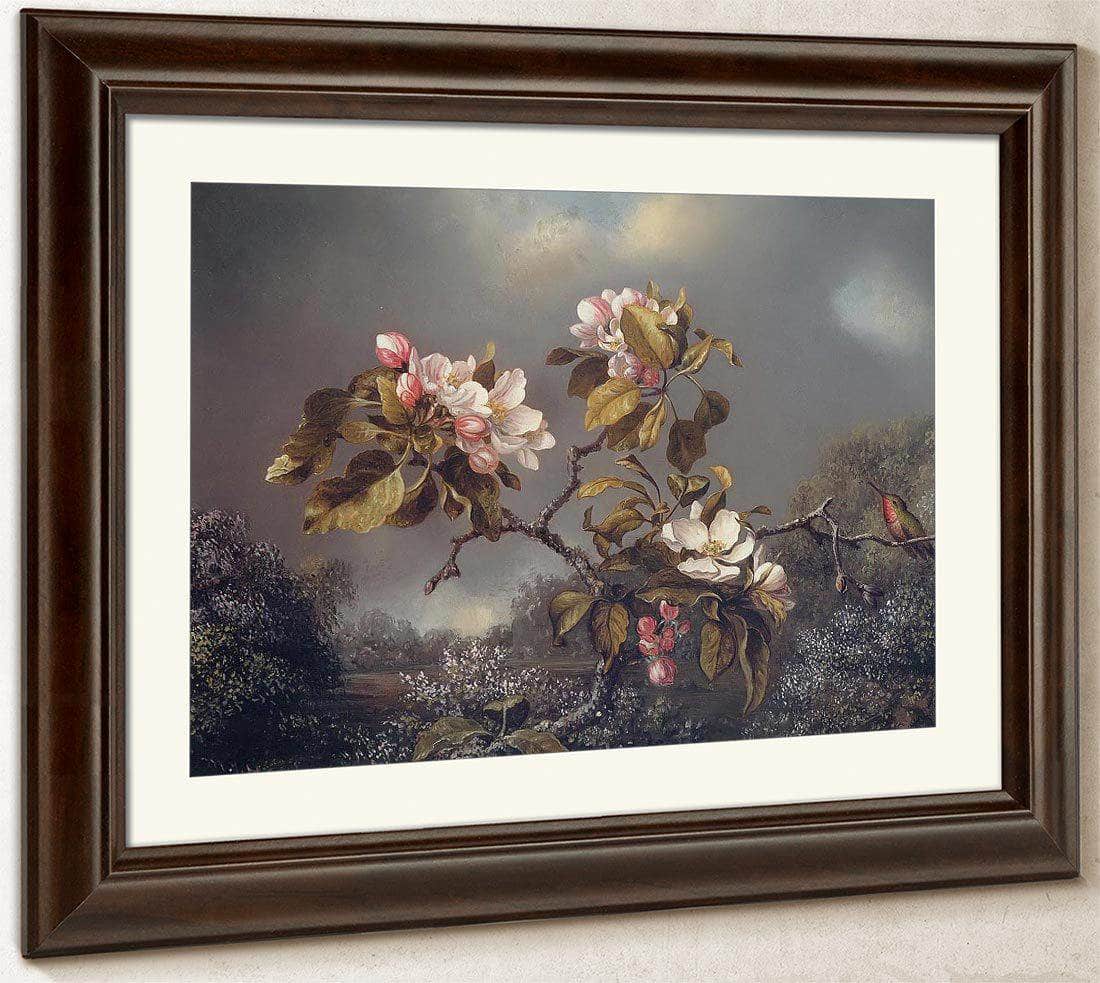 Apple Blossoms And Hummingbird By Martin Johnson Heade Fine Art Print
