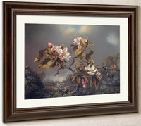 Apple Blossoms And Hummingbird By Martin Johnson Heade Fine Art Print
