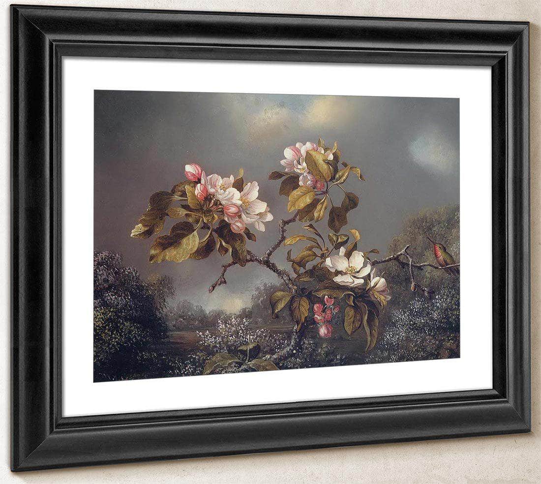 Apple Blossoms And Hummingbird By Martin Johnson Heade Fine Art Print