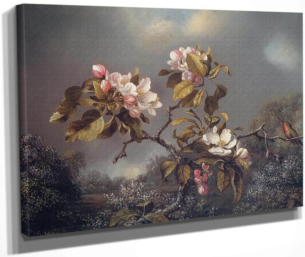Apple Blossoms And Hummingbird By Martin Johnson Heade Fine Art Print