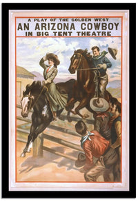 Arizola  Vintage Posterb Fine Art Print