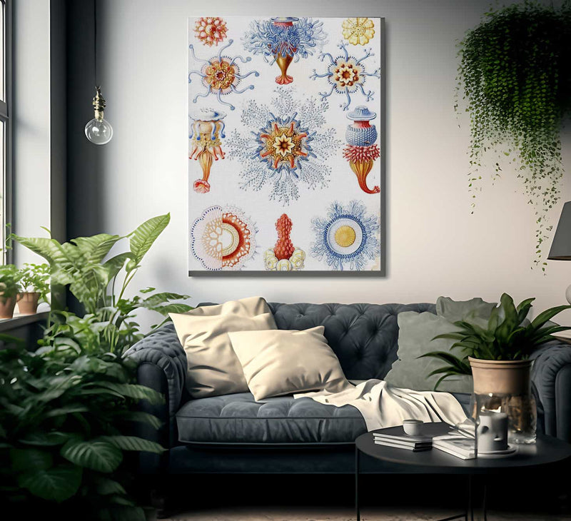 Art Forms In Nature Plate 17 Siphonophorae 1904 By Ernst Haeckel Fine Art Print