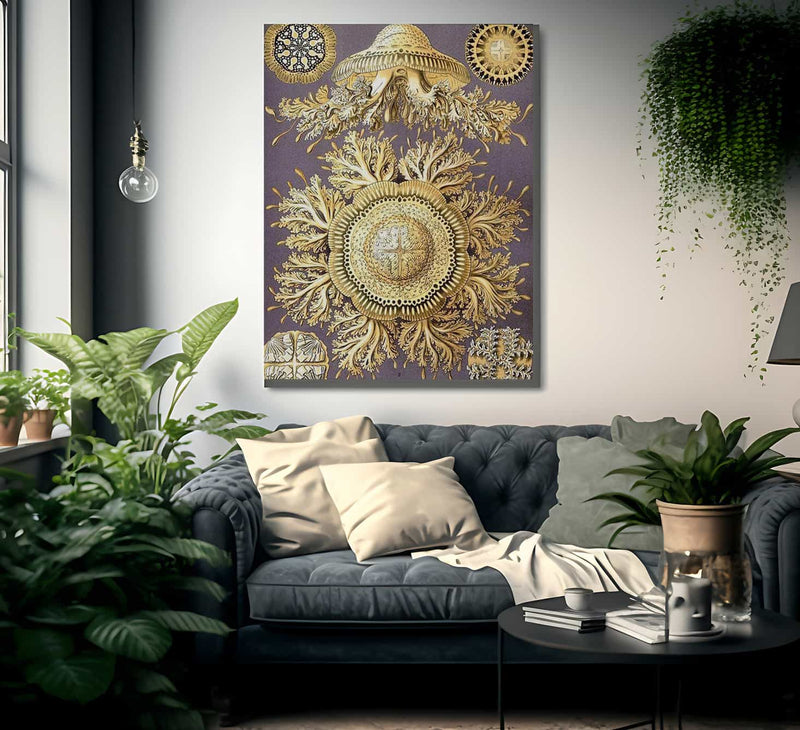 Art Forms In Nature Plate 28 Discomedusae 1904 By Ernst Haeckel Fine Art Print