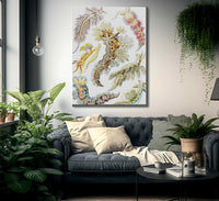 Art Forms In Nature Plate 43 Nudibranchia 1904 By Ernst Haeckel Fine Art Print