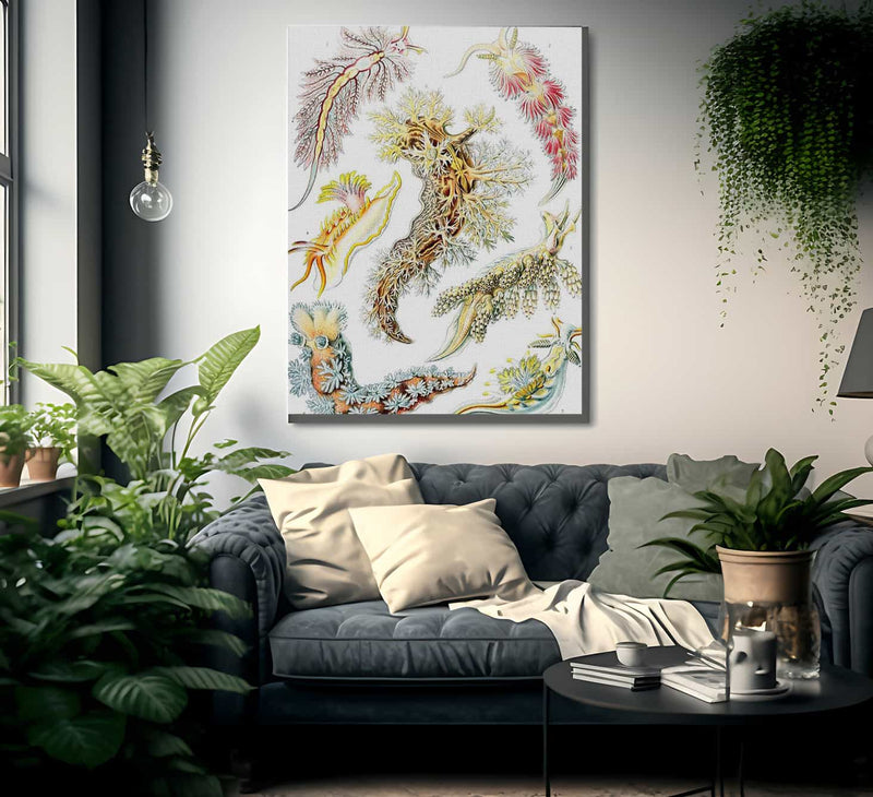 Art Forms In Nature Plate 43 Nudibranchia 1904 By Ernst Haeckel Fine Art Print