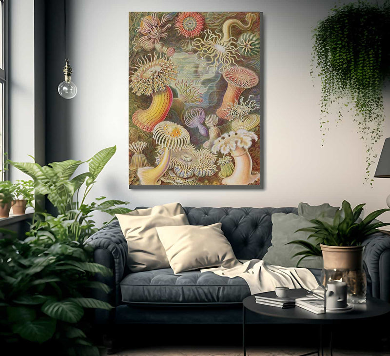 Art Forms In Nature Plate 49 Actiniae 1904 By Ernst Haeckel Fine Art Print