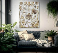 Art Forms In Nature Plate 6 Tubulariae 1904 By Ernst Haeckel Fine Art Print