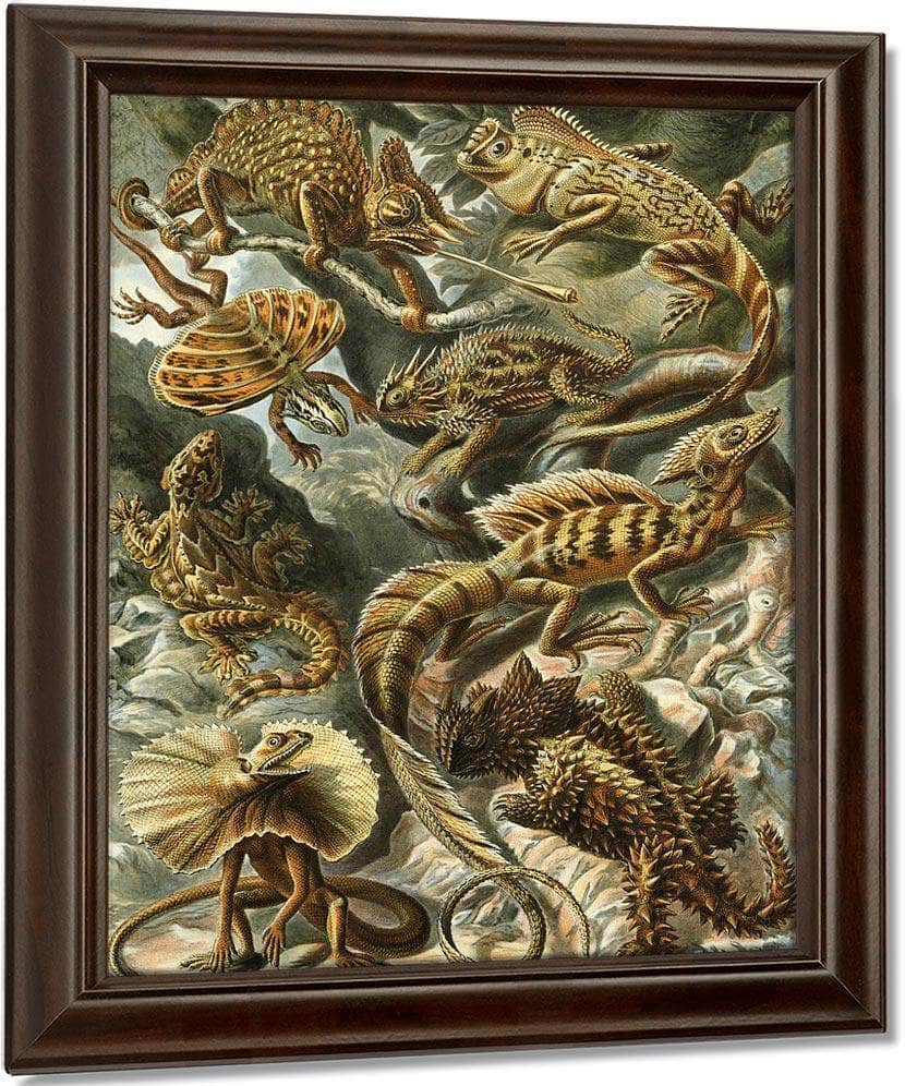 Art Forms In Nature Plate 79 Lacertilia 1904 By Ernst Haeckel Fine Art Print