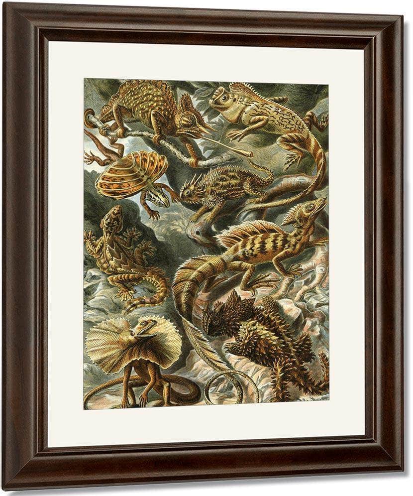 Art Forms In Nature Plate 79 Lacertilia 1904 By Ernst Haeckel Fine Art Print