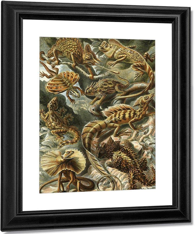 Art Forms In Nature Plate 79 Lacertilia 1904 By Ernst Haeckel Fine Art Print
