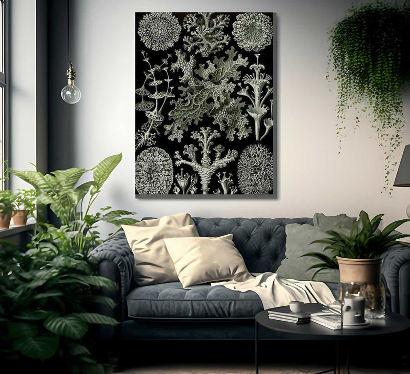 Art Forms In Nature Plate 83 Lichenes 1904 By Ernst Haeckel Fine Art Print