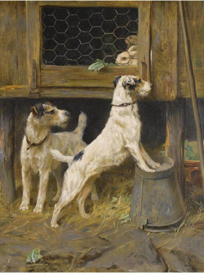 At A Safe Distance By Arthur Wardle Fine Art Print