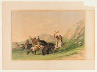 Attacking The Grizzly Bear  No. 19 By George Catlin Fine Art Print