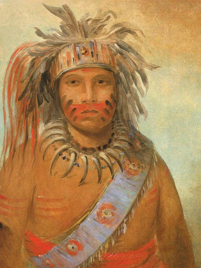 Au Nim Muck Kwa Um, Tempest Bird By George Catlin Fine Art Print