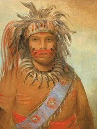 Au Nim Muck Kwa Um, Tempest Bird By George Catlin Fine Art Print