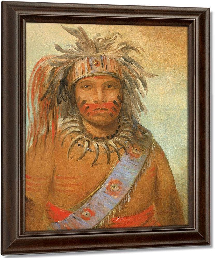 Au Nim Muck Kwa Um, Tempest Bird By George Catlin Fine Art Print