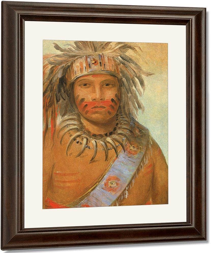 Au Nim Muck Kwa Um, Tempest Bird By George Catlin Fine Art Print