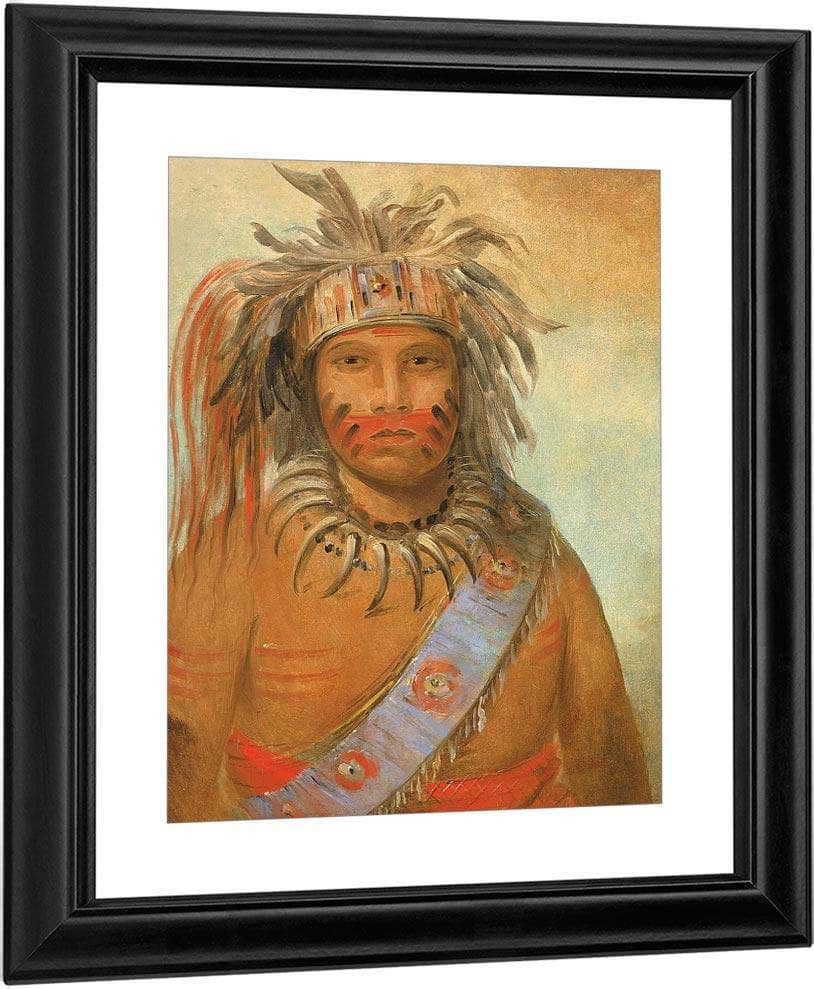 Au Nim Muck Kwa Um, Tempest Bird By George Catlin Fine Art Print