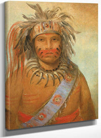 Au Nim Muck Kwa Um, Tempest Bird By George Catlin Fine Art Print