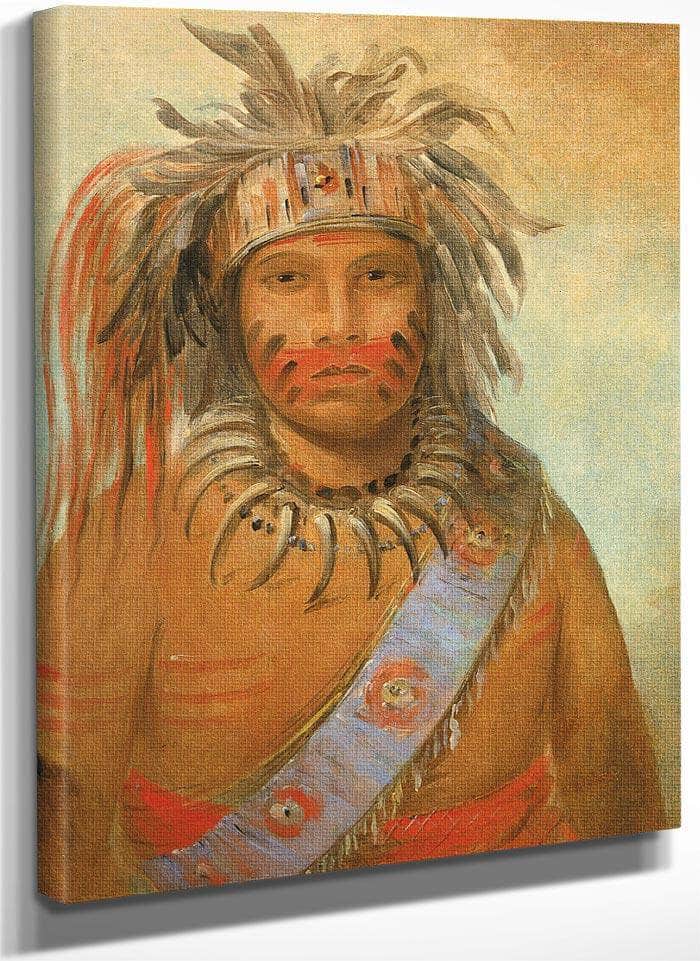 Au Nim Muck Kwa Um, Tempest Bird By George Catlin Fine Art Print