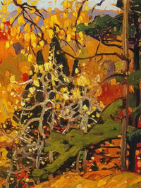 Autumn Splendour By Frank Carmichael Fine Art Print