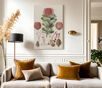 Banksia Coccinea From Illustrationes Florae Novae Hollandiae By Ferdinand Bauer Fine Art Print