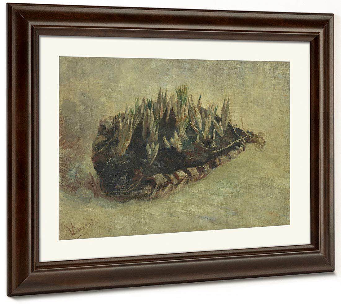 Basket Of Crocus Bulbs By Vincent Van Gogh Fine Art Print