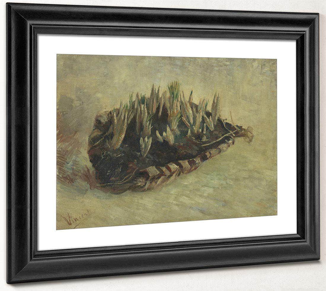 Basket Of Crocus Bulbs By Vincent Van Gogh Fine Art Print