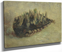 Basket Of Crocus Bulbs By Vincent Van Gogh Fine Art Print