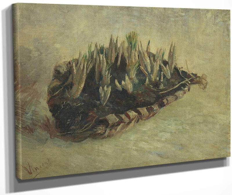 Basket Of Crocus Bulbs By Vincent Van Gogh Fine Art Print
