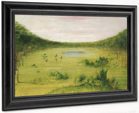 Beautiful Savannah In The Pine Woods Of Florida By George Catlin Fine Art Print