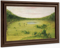 Beautiful Savannah In The Pine Woods Of Florida By George Catlin Fine Art Print