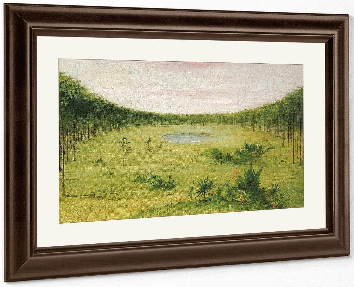 Beautiful Savannah In The Pine Woods Of Florida By George Catlin Fine Art Print