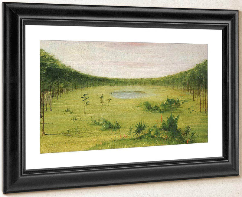 Beautiful Savannah In The Pine Woods Of Florida By George Catlin Fine Art Print