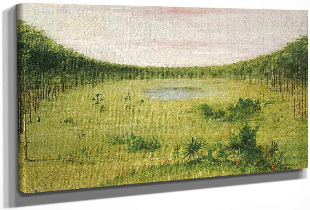 Beautiful Savannah In The Pine Woods Of Florida By George Catlin Fine Art Print