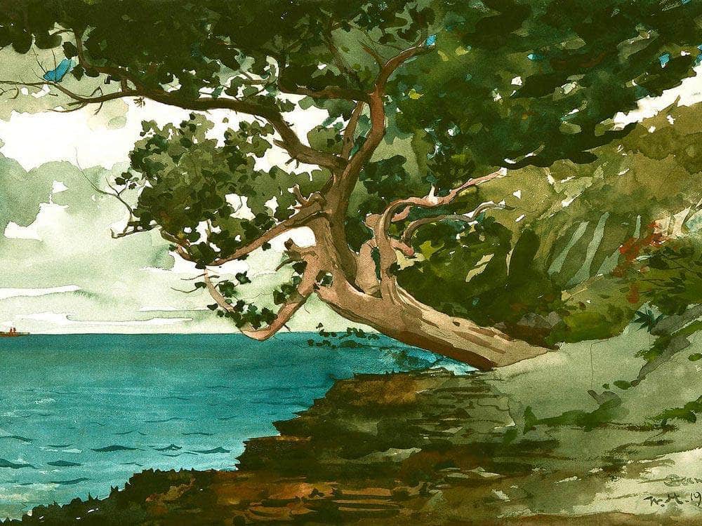 Bermuda By Winslow Homer Fine Art Print