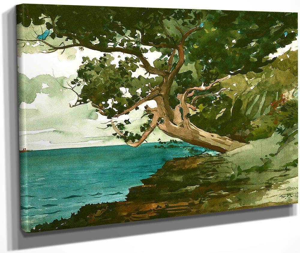 Bermuda By Winslow Homer Fine Art Print
