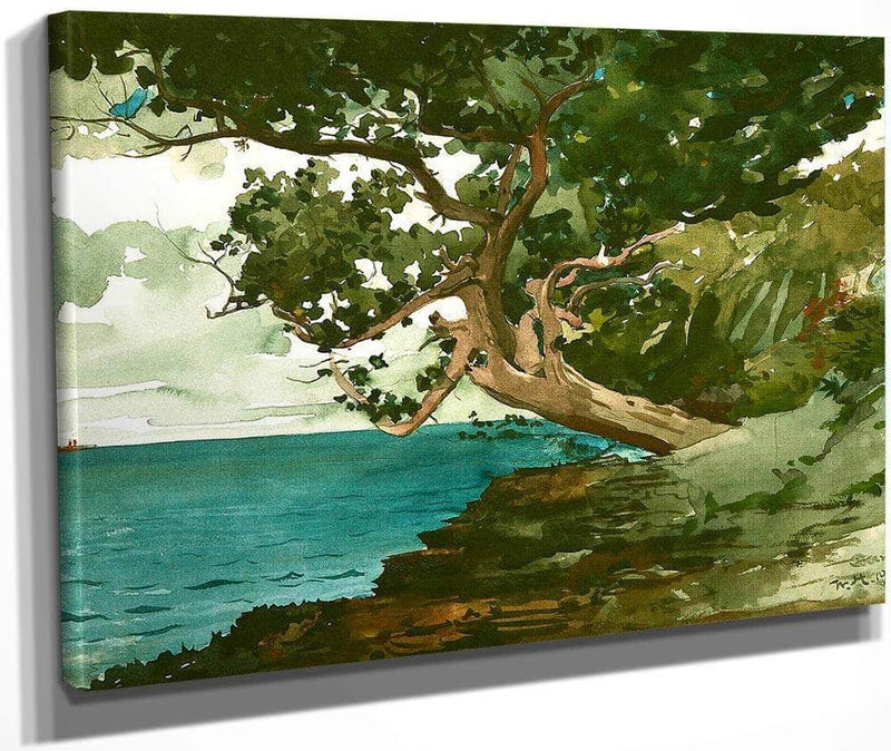 Bermuda By Winslow Homer Fine Art Print