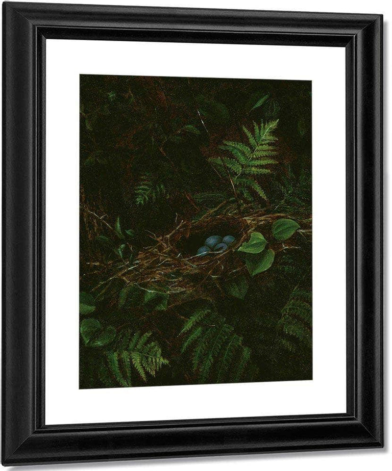 Bird's Nest And Ferns By Fidelia Bridges Fine Art Print