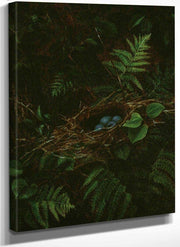 Bird's Nest And Ferns By Fidelia Bridges Fine Art Print